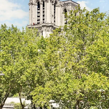 Murmures Notre-dame باريس